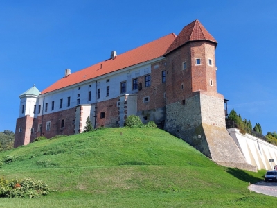 Zdjęcie zamku na wzgórzu
